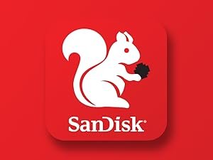 SanDisk microSD 1.5TB